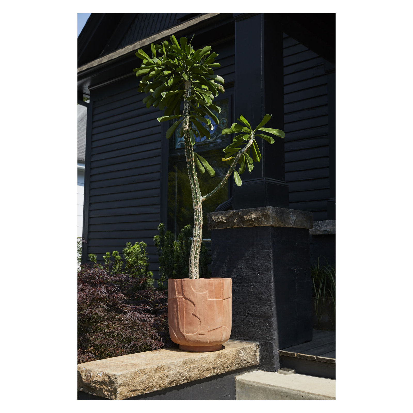 Abrahamson Ceramic Pot Planter, 17.25" H x 16" W x 16"D