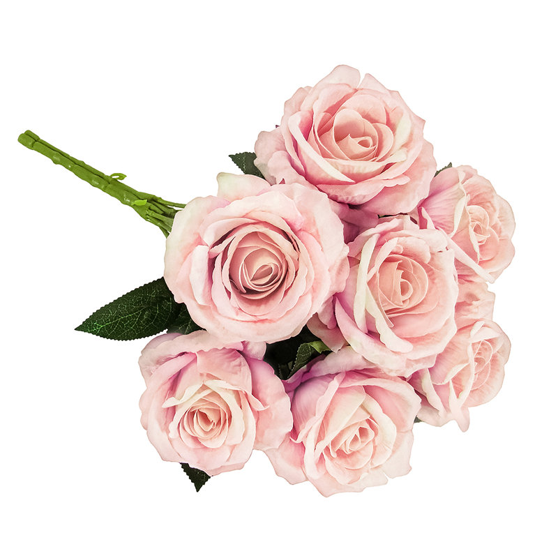 Velours rosier, Rosé