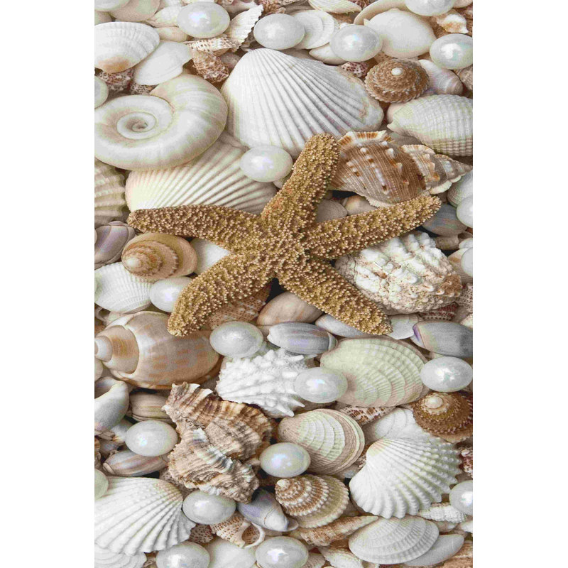 Shell Menagerie II, H 48 po x l 32 po
