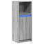 Shanerica Accent Cabinet-588309487