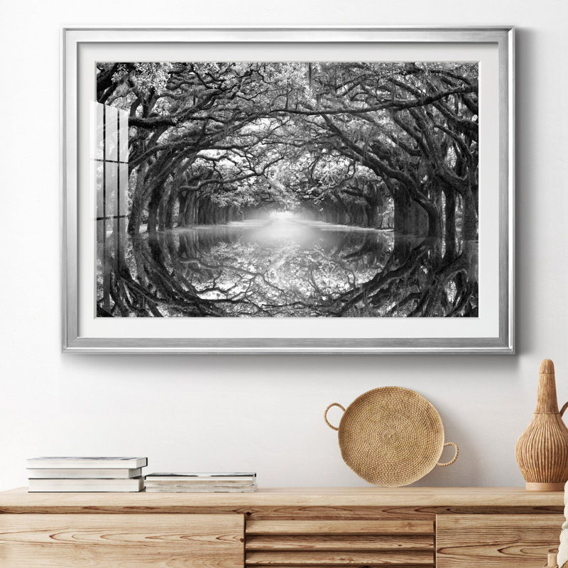 Oak Alley Reflection - photographie de cadre, H 22,5 po x l 30,5 po x P 1,5 po, Papier avec cadre argenté