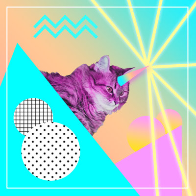 Pink Cat 1 Piece Wrapped Canvas Wall Art