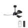 Boun 42'' Ceiling Fan with LED Lights