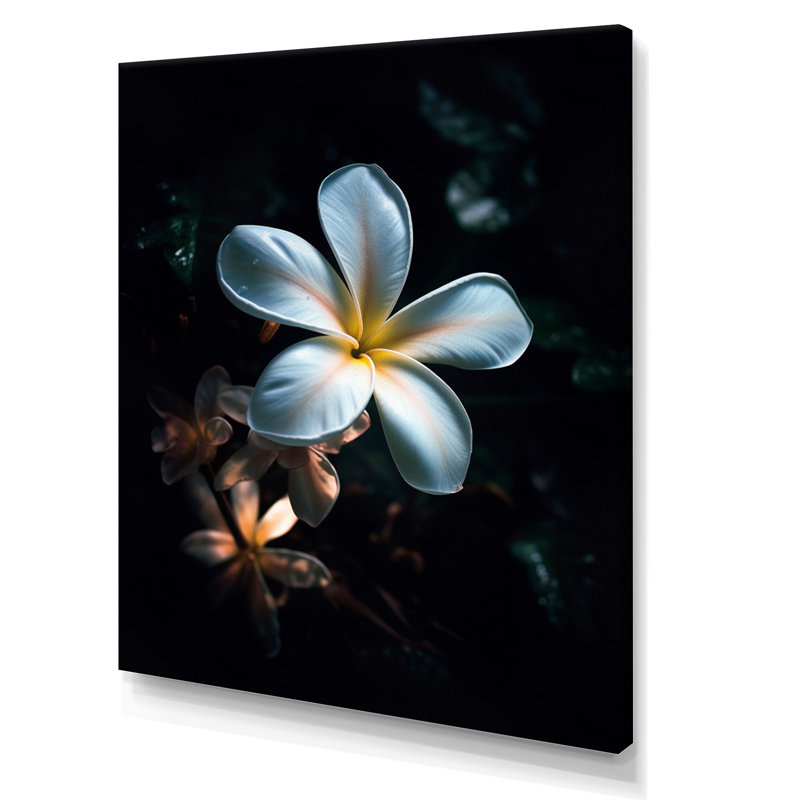 Blanc et noir exotique Plumeria Bloom III, H 32 po x l 24 po x P 1 po, Toile tendue