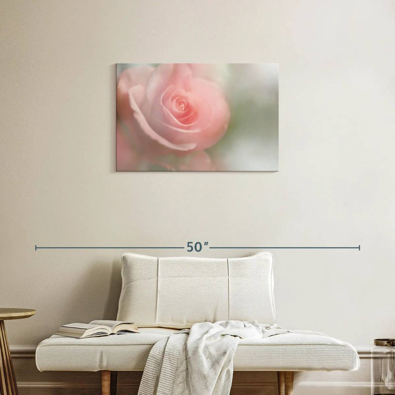 Rose tendre Harnek I, H 20 po x l 30 po