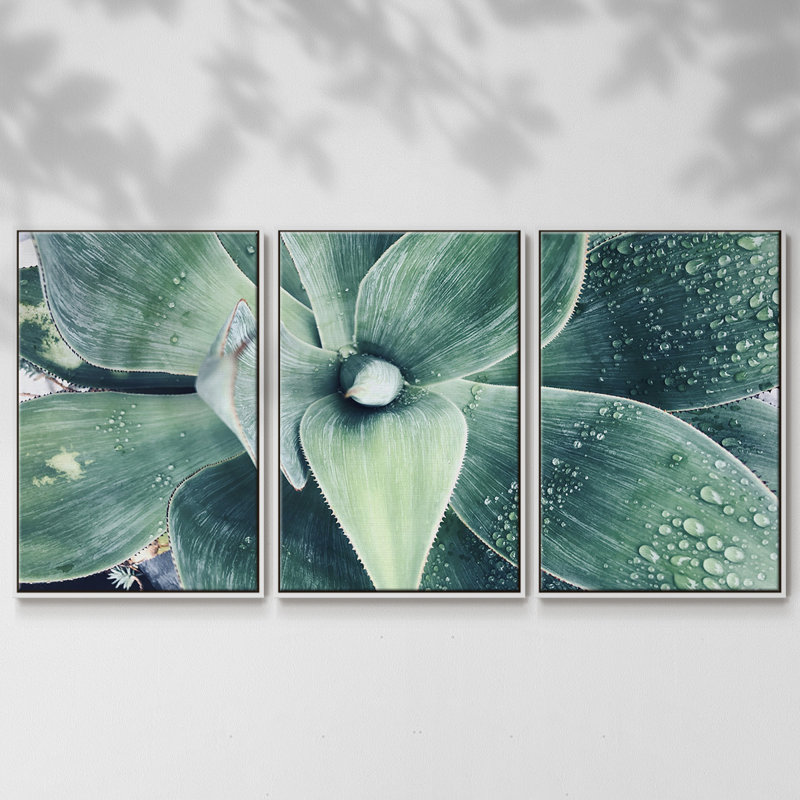 «Green Tropical Succulent», reproduction d'art encadrée sur toile, 3 pièces, H 24 po x l 48 po x P 2 po, Blanc