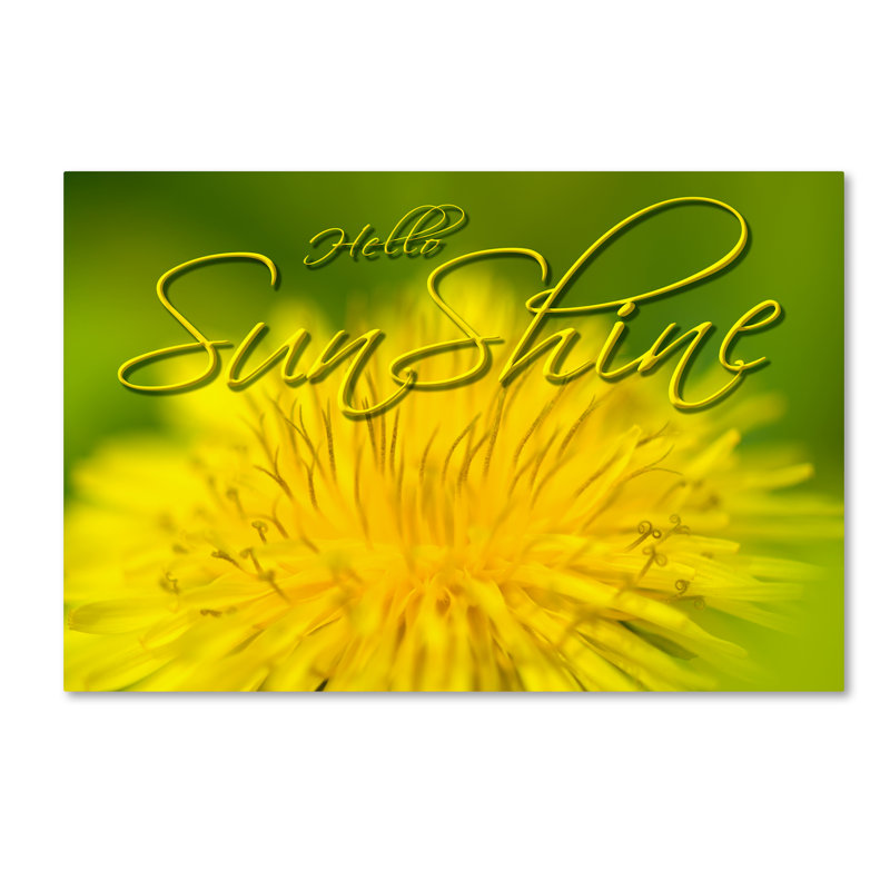 Reproduction d'art graphique sur toile "Hellow Sunshine" par Cora Niele, H 12 po x l 19 po