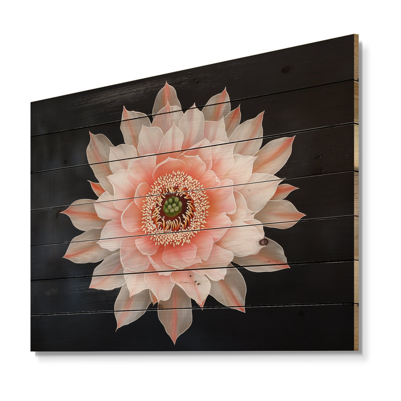 Fleur de cactus rose I, H 30 po x l 40 po