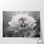 Douceur en monochrome, impression d'art mural-1466652422-1466652429