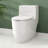 17" ADA Comfort Height Dual-Flush Toilet Modern Elongated One-Piece Toilet for Floor Mounted Glazed Surface (Seat Included)
