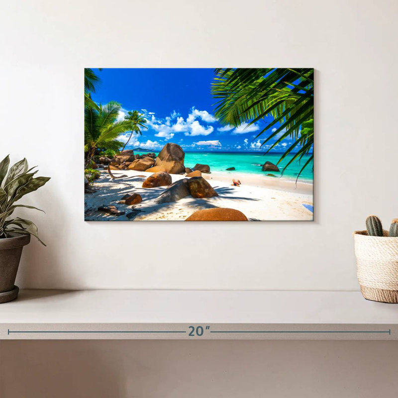 Gillard tropical aux Seychelles, H 8 po x l 12 po