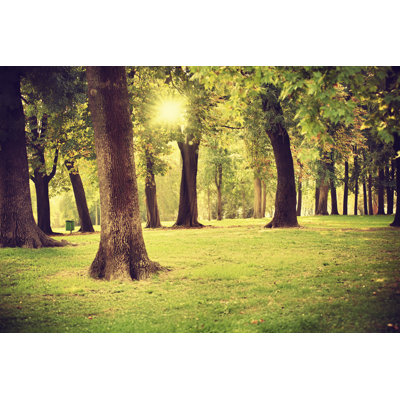 Park sempione in milan