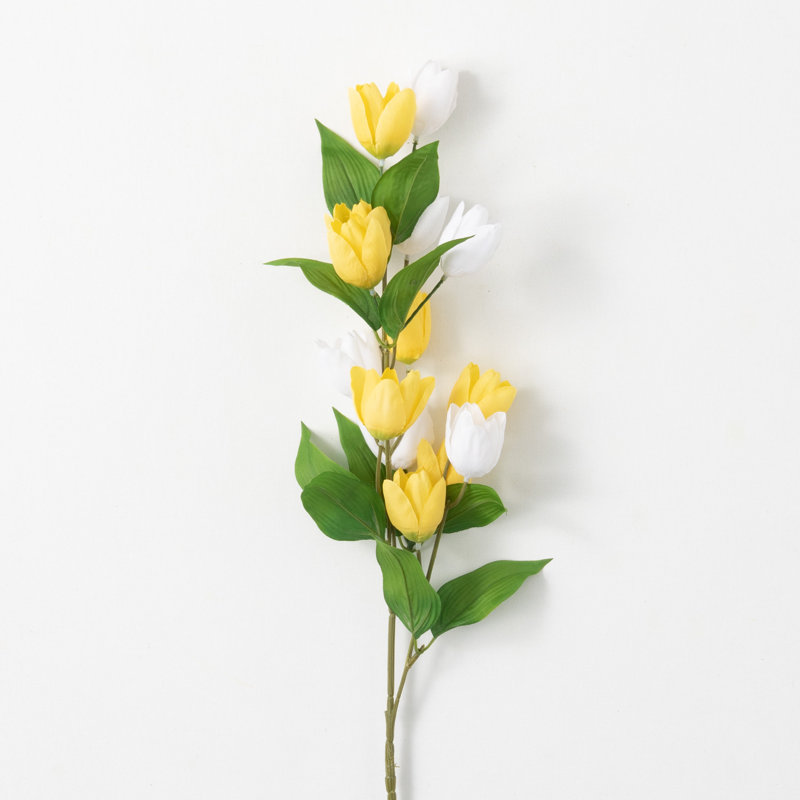Tiges de tulipes Hawkinson