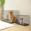 Caisse pour chien pliante pour animaux-522020881