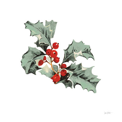 Farmhouse Christmas Floral II