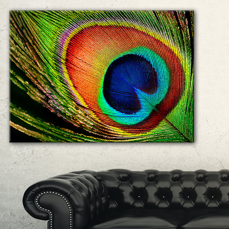 «Peacock Feather», impression, H 30 po x l 40 po x P 1,5 po, Toile tendue
