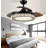 Otisville 42'' Ceiling Fan with LED Lights