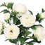Bouquet de tiges de pivoines artificielles-1471549830