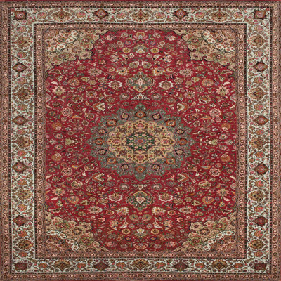 Oriental Indoor Rug