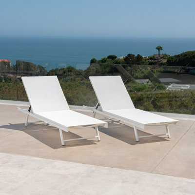Steel Frame Outdoor Chaise Lounge Set of 2