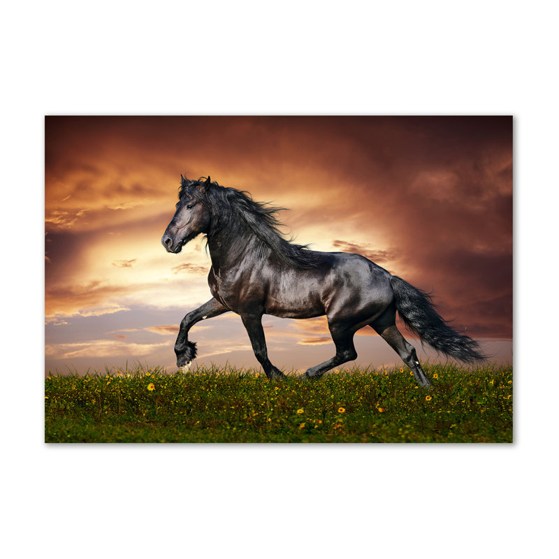 Pooping Horse - Wrapped Canvas Print