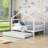 Patchin Wood Daybed with Trundle and Slats-1643906760-1643906753