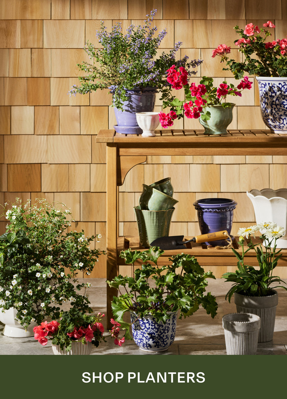 Shop Planters