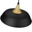 Elisabet Single Light Metal Dimmable Pendant-324089305