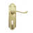 Polished Brass