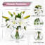 8cm Plant