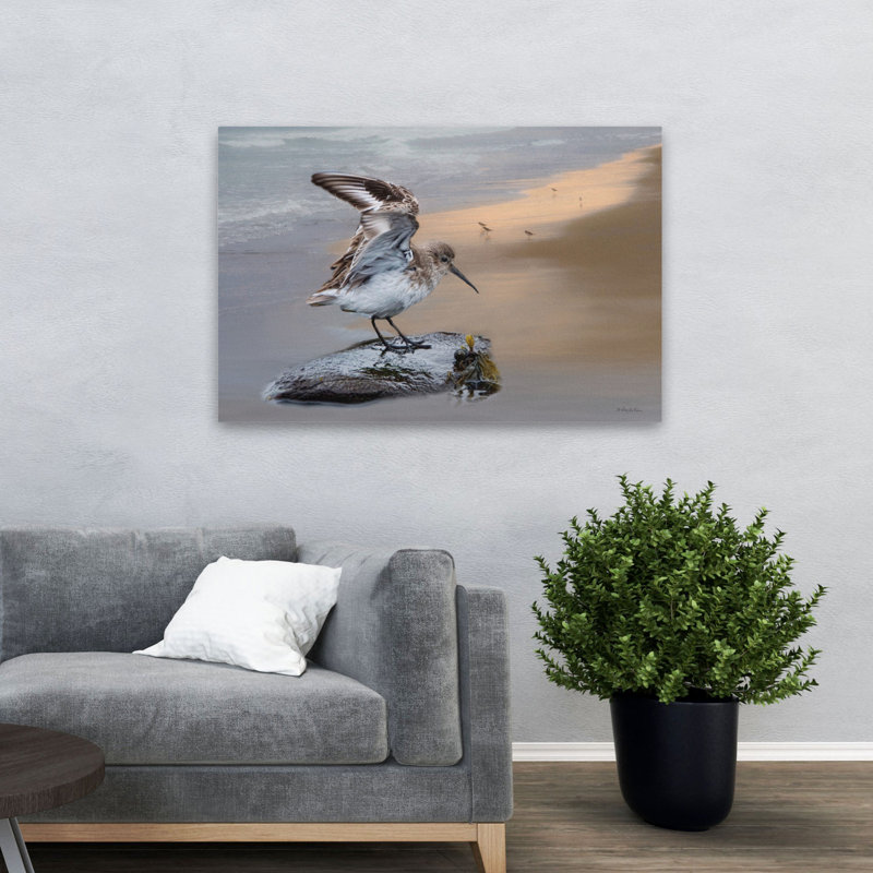 Sanderling Landing - plage de rivage côtier, art de sable mouillé, H 32 po x l 48 po