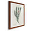 Protea N33 - Peinture encadrée-1258477351-1258477350