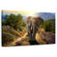 Elephant Frolicking-107674229