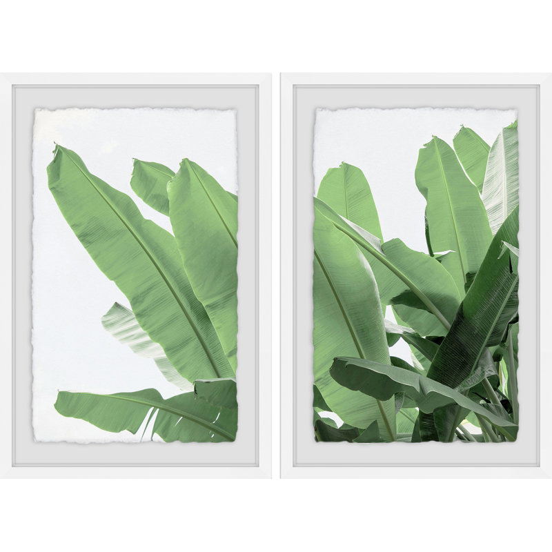 Palm Bay II Diptych - ensemble de 2 reproductions de photos encadrées, H 45 po x l 30 po x P 1,5 po