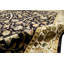 Oriental Area Rug