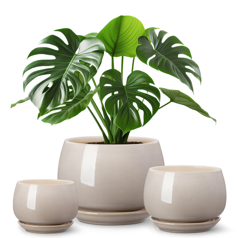Ceramic Pot Planter, 14.7cm H x 12cm W x 5cm D, Grey