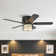 Renard 48'' Ceiling Fan with Light Kit