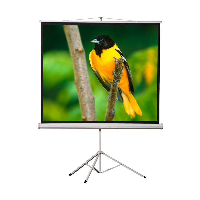 Écran de projecteur blanc à trépied portable, Diagonale de 136 po (96 po x 96 po)