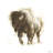 " Rustic Bison II " by Ethan Harper-228613862