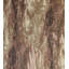 Fossil Fabric
