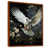 Brown Floater Framed