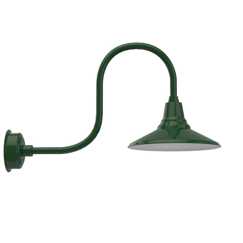 Luminaire de grange d’extérieur à del Albali, H 9 po x l 14 po x P 17 po, Vert rétro