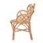 Akam Rattan Accent Chair