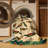 Washable Hawaiian Honeycreepers Hawaiian Area Rug-995462913