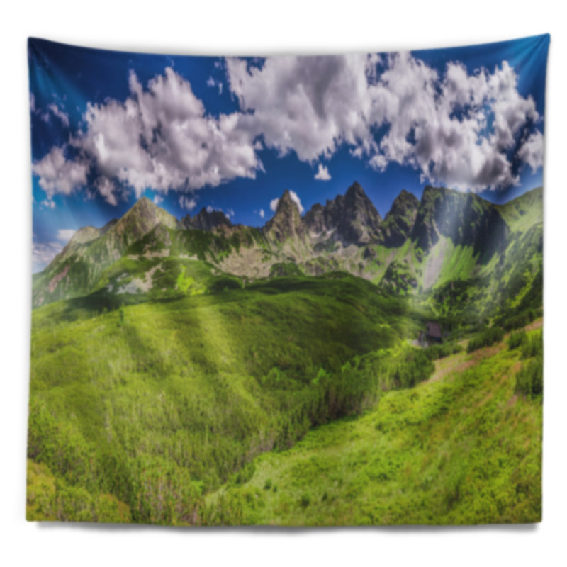 Paysage tapisserie verte des montagnes des tatras, H 50 po x l 60 po