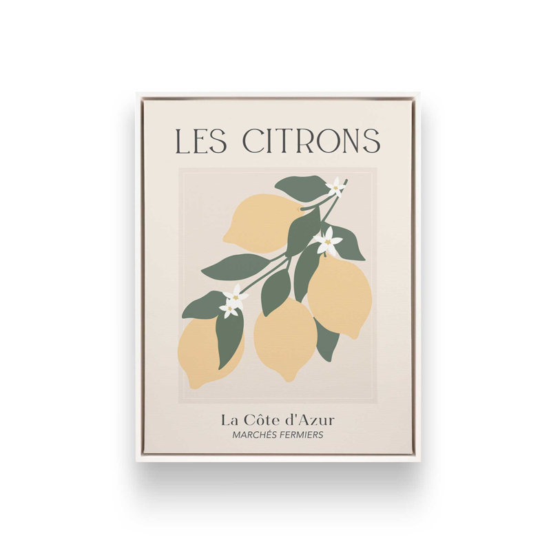 «Les Citrons Fruit Market France» par April Lane, reproduction d'art, L 12 po x H 16 po, Framed Canvas, Blanc