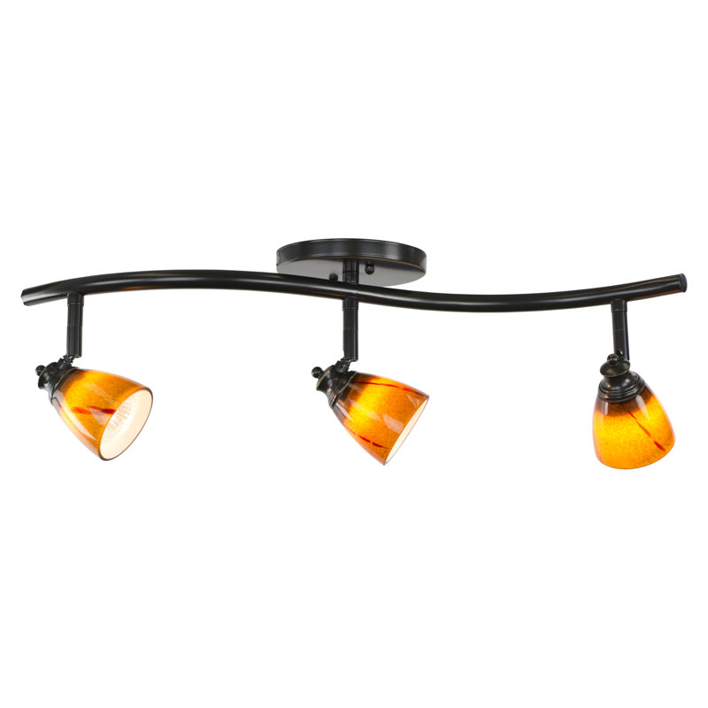 Ensemble de rail d'éclairage 3 lumières 22,5 po, Amber