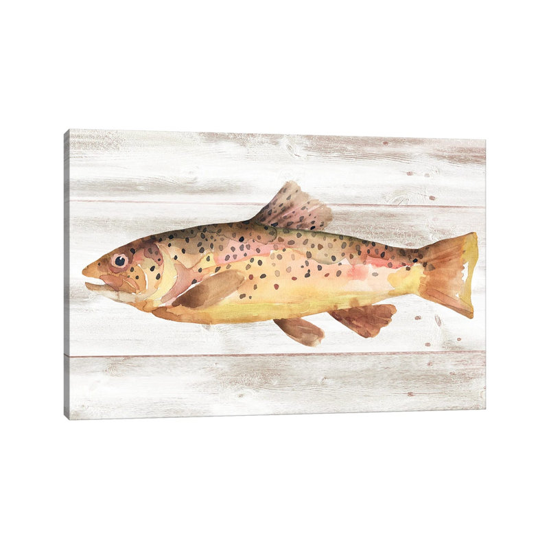 Spotted Trout I by Annie Warren - Wrapped Canvas Print, 101.6 cm H x 66.04 cm W x 1.91 cm D