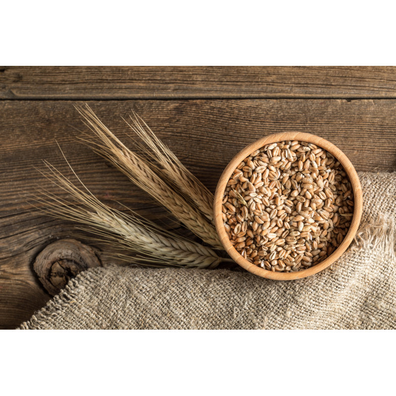 Cereals And Grains by Arfo - Wrapped Canvas Print, 20cm H x 30cm W x 3.8cm D