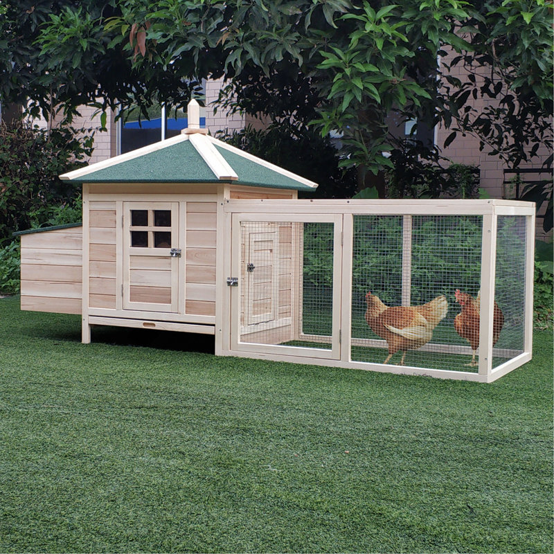 Poulailler en bois 77 po avec nichoir, mignon poulailler d'extérieur avec plateau amovible, rampe, pour jardin, naturel
